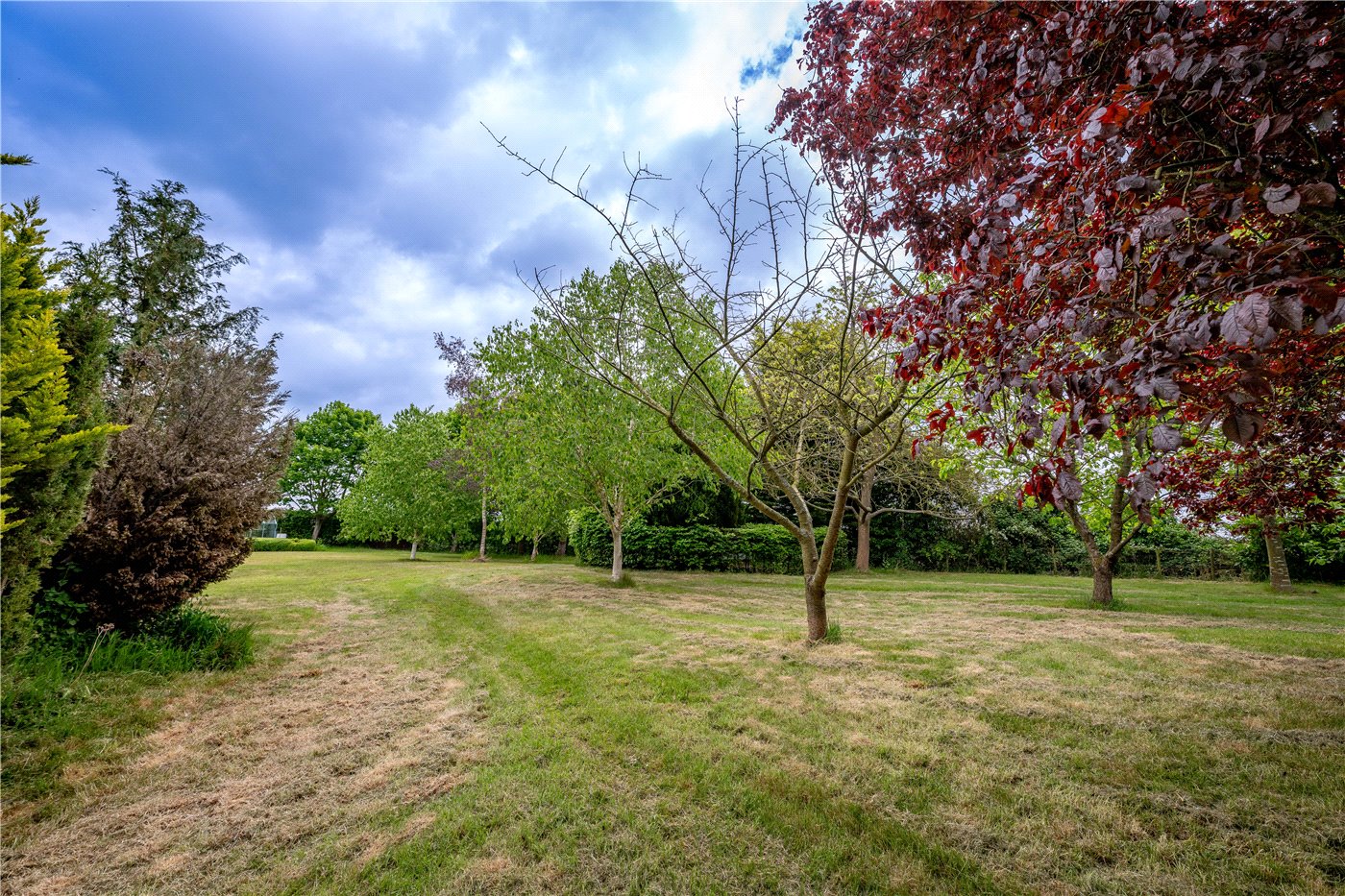 Grounds